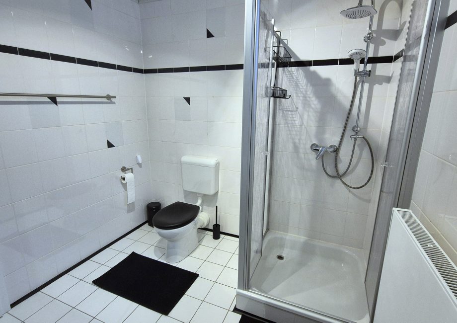 Toilette und Duschkabine